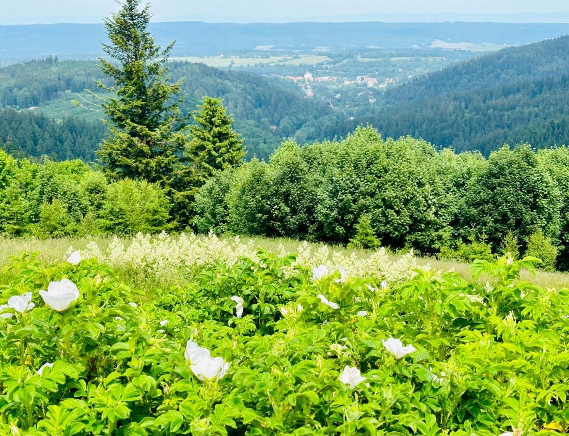 Apartamenty Innwersja Duszniki Zdroj Luaran gambar