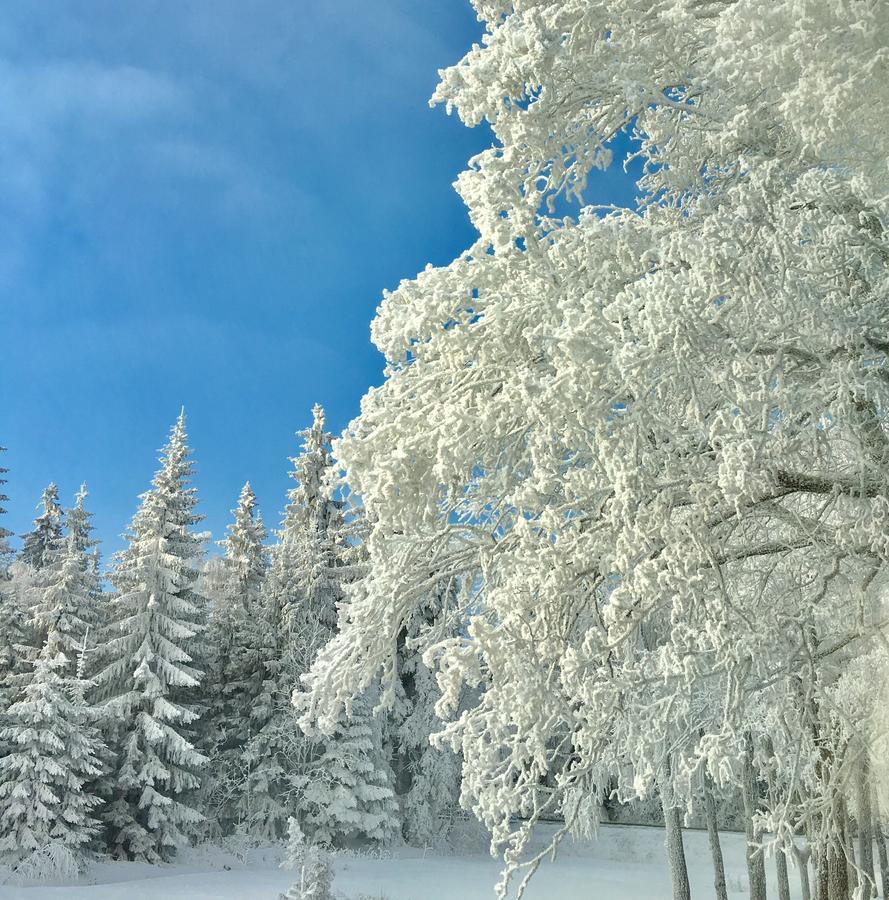 Apartamenty Innwersja Duszniki Zdroj Luaran gambar